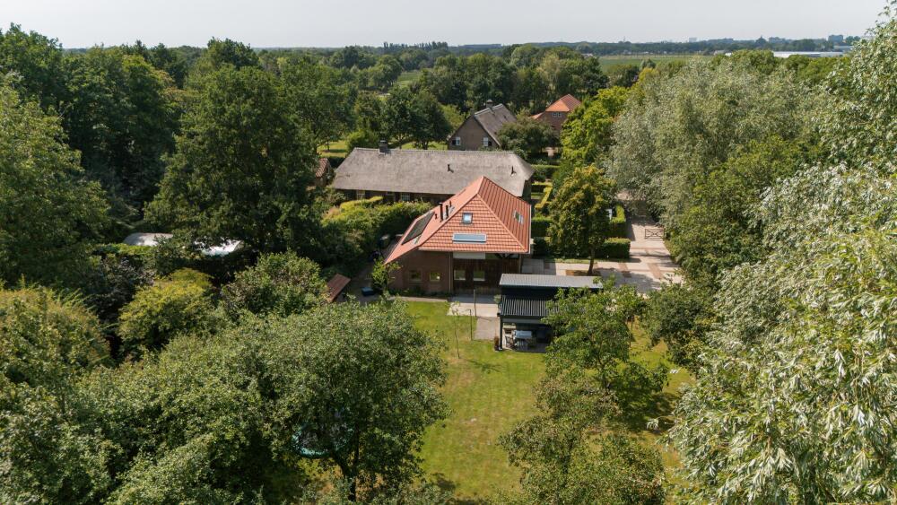 Foto 2 1000w