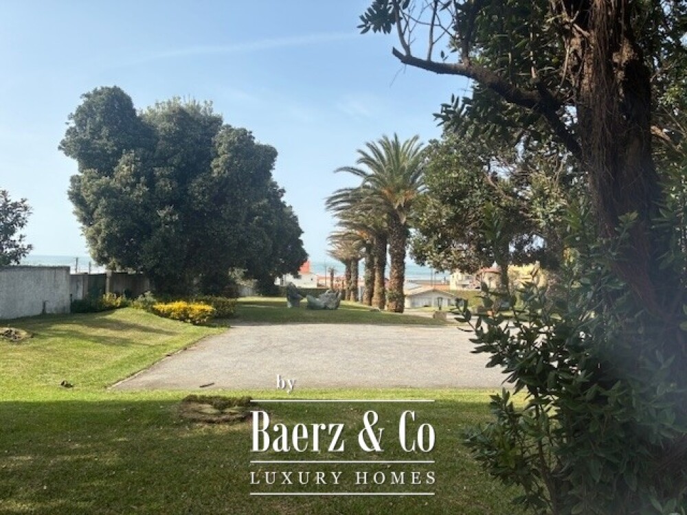 Foto 2 1000w