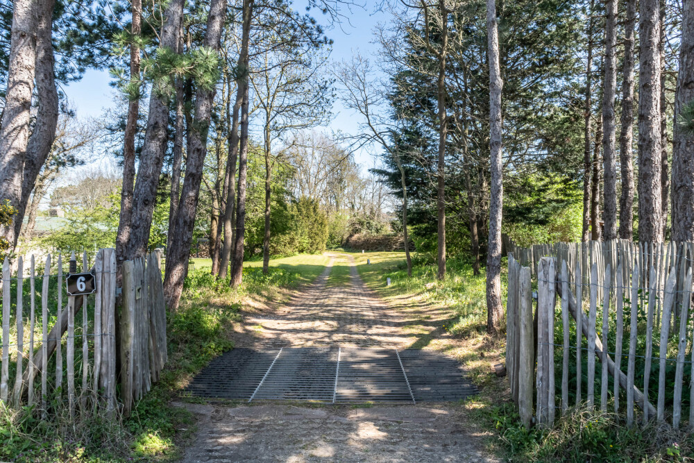 Foto 5 1000w