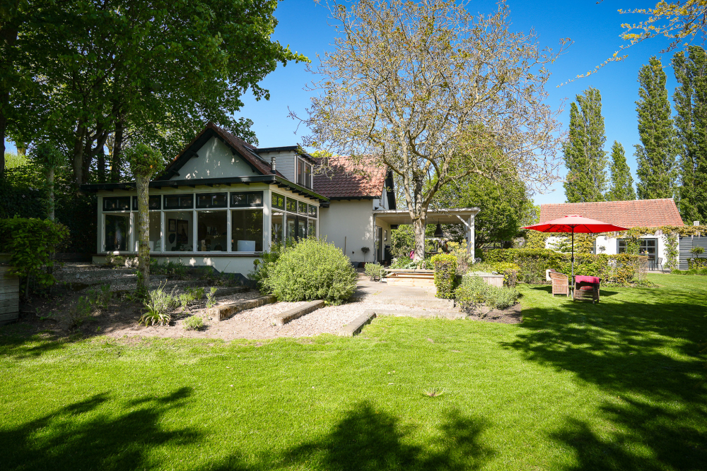 Foto 2 1000w