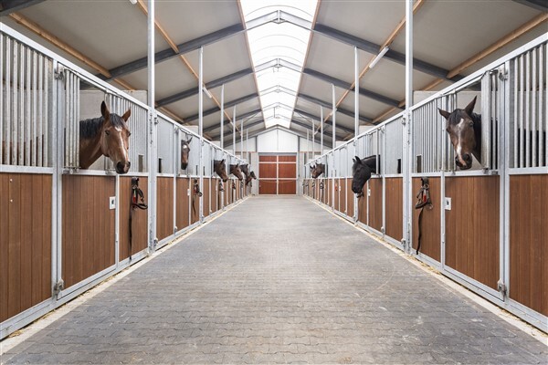 photo 19 Molenstraat 124