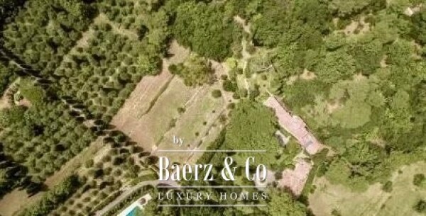 photo 2 Estate - over 6 ha of land with olive trees