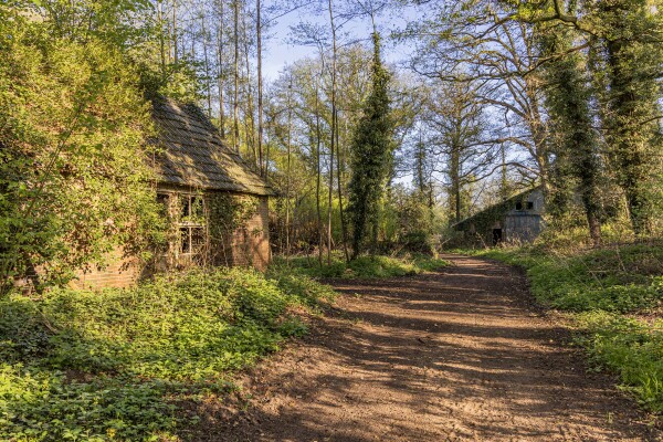 photo 9 Schoolkaterdijk 80