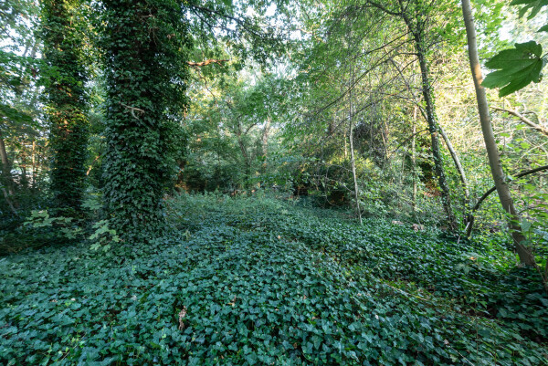 photo 7 Wikkelaan 0 ong