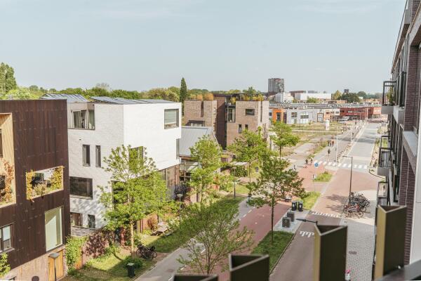 photo 50 Solitudolaan 408