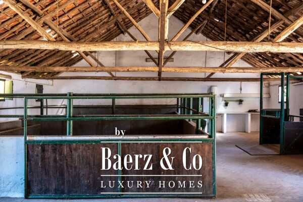 photo 29 Equestrian Property