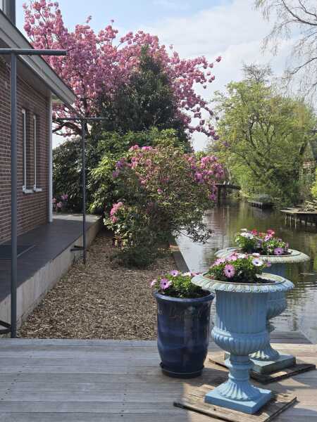 photo 4 Park Zomerlust 71