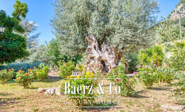 photo 14 Charming Finca Style Villa in Son Cabaspre