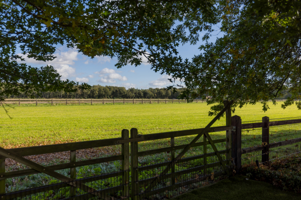 photo 64 Boterhurken 12