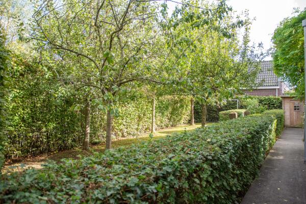 photo 57 Chris Schutweg 14