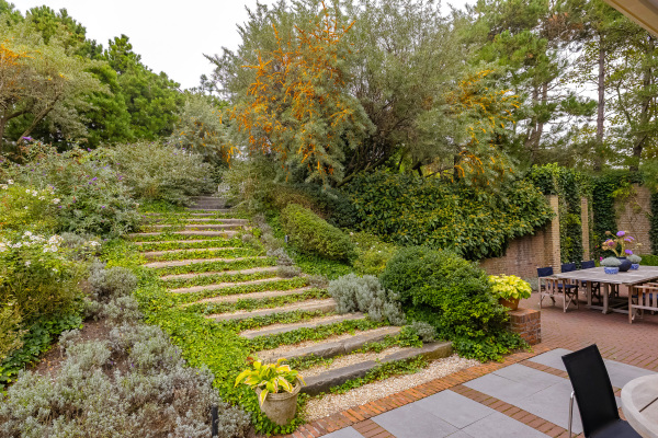 photo 73 Dennenweg 8