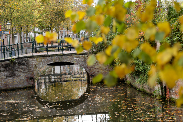 photo 2 Muurhuizen 37