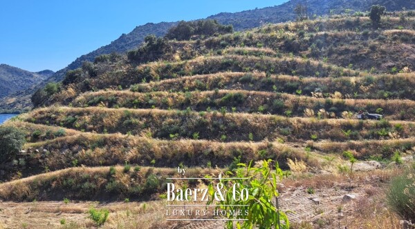 photo 17 Douro Riverfront Almond Estate