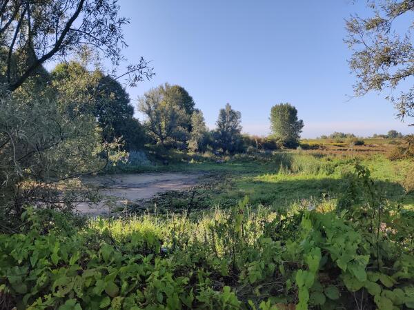 photo 55 Duffeltdijk 9