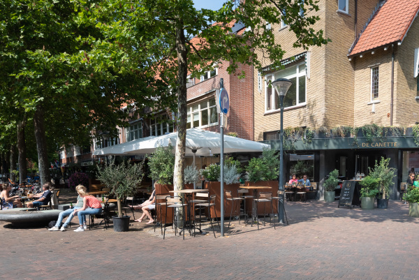 photo 63 Heemsteedse Dreef 271