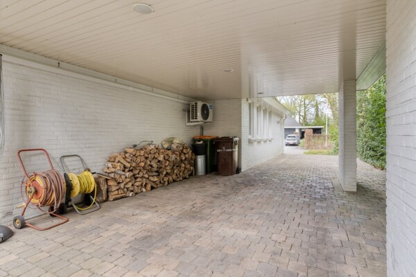 photo 75 Zilvermos 2