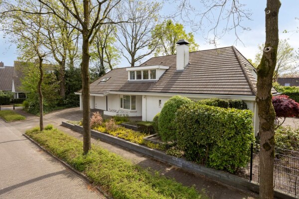 photo 81 Zilvermos 2