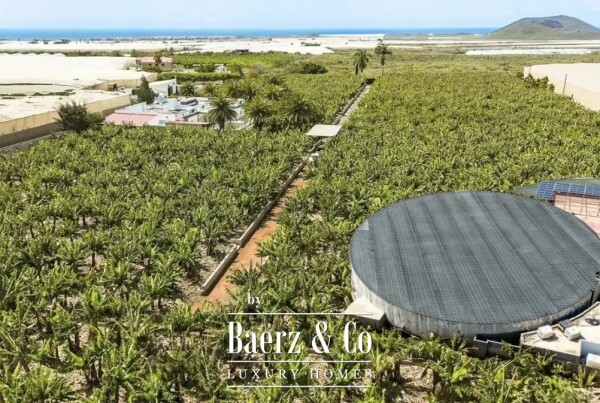 photo 44 Magnificent estate featuring family home and an organic banana plantation