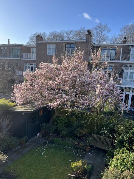 photo 19 Ruychrocklaan 134